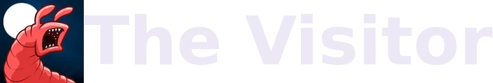 The Visitor